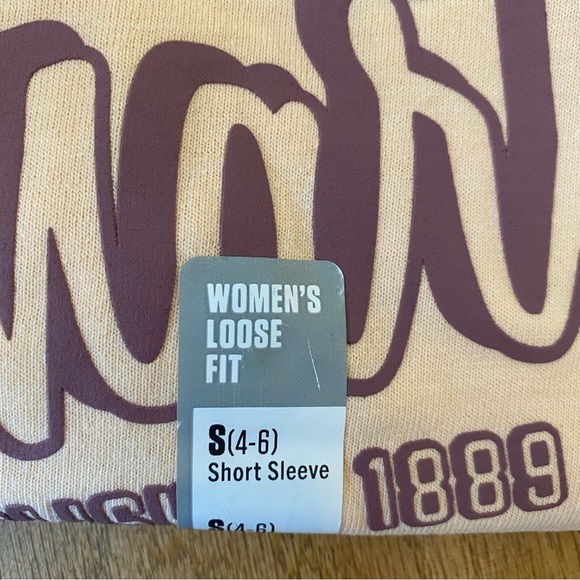 CARHARTT • NEW! Script Logo Graphic Tee T-Shirt - Cantaloupe Heather - Size S - Picture 9 of 11